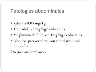 Patologías abdominales
 xylacina 0.05 mg/kg
 Tramadol 1-3 mg/kg/ cada 12 hs
 Meglumina de flumixin 1mg/kg/ cada 24 hs
 Bloqueo paravertebral con anestésico local
Lidocaína
2% (nervios lumbares)
 