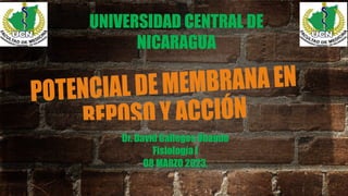 UNIVERSIDAD CENTRAL DE
NICARAGUA
Dr. David Gallegos Obando
Fisiología I
O8 MARZO 2023.
 