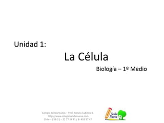 Unidad 1:
La Célula
Biología – 1º Medio
Colegio Senda Nueva – Prof. Natalia Cubillos B.
http://www.colegiosendanueva.com
Chile – ( 56-2 ) – 22 77 24 81 / 8- 493 97 47
 