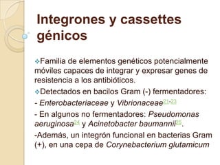 Integrones y cassettes
génicos
Familia  de elementos genéticos potencialmente
móviles capaces de integrar y expresar genes de
resistencia a los antibióticos.
Detectados en bacilos Gram (-) fermentadores:
- Enterobacteriaceae y Vibrionaceae21-23
- En algunos no fermentadores: Pseudomonas
aeruginosa24 y Acinetobacter baumannii25.
-Además, un integrón funcional en bacterias Gram
(+), en una cepa de Corynebacterium glutamicum
 