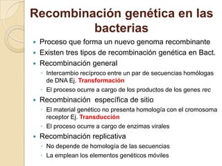 Recombinación genética en las
         bacterias
   Proceso que forma un nuevo genoma recombinante
   Existen tres tipos de recombinación genética en Bact.
   Recombinación general
    ◦ Intercambio recíproco entre un par de secuencias homólogas
      de DNA Ej. Transformación
    ◦ El proceso ocurre a cargo de los productos de los genes rec
   Recombinación específica de sitio
    ◦ El material genético no presenta homología con el cromosoma
      receptor Ej. Transducción
    ◦ El proceso ocurre a cargo de enzimas virales
   Recombinación replicativa
    ◦ No depende de homología de las secuencias
    ◦ La emplean los elementos genéticos móviles
 