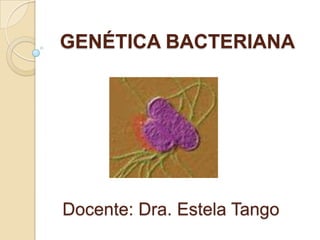 GENÉTICA BACTERIANA




Docente: Dra. Estela Tango
 