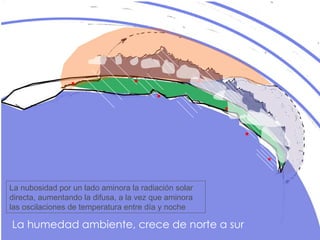 La humedad ambiente, crece de norte a sur La nubosidad por un lado aminora la radiación solar directa, aumentando la difusa, a la vez que aminora las oscilaciones de temperatura entre día y noche 