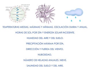 TEMPERATURAS MEDIAS, MÁXIMAS Y MÍNIMAS, OSCILACIÓN DIARIA Y ANUAL. HORAS DE SOL POR DÍA Y ENERGÍA SOLAR INCIDENTE. HUMEDAD DEL AIRE Y DEL SUELO. PRECIPITACIÓN MÁXIMA POR DÍA, DIRECCIÓN Y FUERZA DEL VIENTO,  NUBOSIDAD,  NÚMERO DE HELADAS ANUALES, NIEVE. SALINIDAD DEL SUELO Y DEL AIRE. 