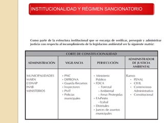INSTITUCIONALIDAD Y RÉGIMEN SANCIONATORIO
 