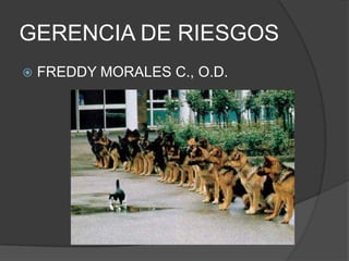 GERENCIA DE RIESGOS FREDDY MORALES C., O.D. 