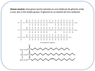 Grasas neutras :Una grasa neutra consiste en una molécula de glicerol unida
a uno, dos o tres ácidos grasos. El glicerol es un alcohol de tres carbonos.

 