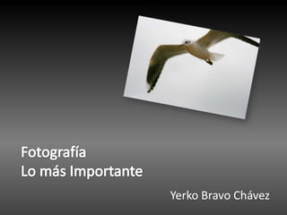 FotografíaLo más Importante Yerko Bravo Chávez 