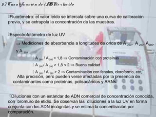 5) Cuantificació n de lADNe xtraído
Fluorómetro: el valor leído se intercala sobre una curva de calibración
previa, y se extrapola la concentración de las muestras.
Espectrofotómetro de luz UV
⇒ Mediciones de absorbancia a longitudes de onda de A 230, A 260, A280,
y A 310
 A 260 / A 280 < 1,8 ⇒ Contaminación con proteínas
 A 260 / A 280 > 1,8 < 2 ⇒ Buena calidad
 A 260 / A 280 > 2 ⇒ Contaminación con fenoles, cloroformo, etc,
Alta precisión, pero pueden verse afectadas por la presencia de
contaminantes como proteínas, polisacáridos y ARNs.
Diluciones con un estándar de ADN comercial de concentración conocida,
con bromuro de etidio. Se observan las diluciones a la luz UV en forma
conjunta con los ADN incógnitas y se estima la concentración por
comparación.
 