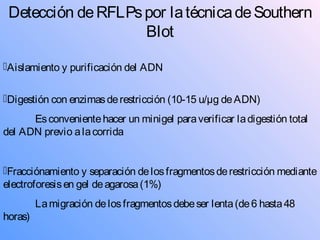 Detección deRFLPspor latécnicadeSouthern
Blot
Aislamiento y purificación del ADN
Digestión con enzimasderestricción (10-15 u/µg deADN)
Esconvenientehacer un minigel paraverificar ladigestión total
del ADN previo alacorrida
Fracciónamiento y separación delosfragmentosderestricción mediante
electroforesisen gel deagarosa(1%)
Lamigración delosfragmentosdebeser lenta(de6 hasta48
horas)
 