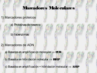 Marcadores Moleculares
1) Marcadores proteicos
a) Basadosen amplificación molecular ⇒ PCR
2) Marcadores de ADN
a) Proteínasdereserva
b) Isoenzimas
b) Basadosen hibridación molecular ⇒ RFLP
c) Basadosen amplificación + hibridación molecular ⇒ AFLP
 