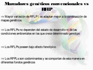 Marcadores genéticos convencionales vs
RFLP
⇒ Mayor variación deRFLP seadaptan mejor alaconstrucción de
mapasgenéticos.
⇒ LosRFLPsno dependen del estado dedesarrollo ni delas
condicionesambientalesen lasquecrecedeterminado genotipo
⇒ LosRFLPsposeen bajo efecto fenotípico
⇒ LosRFPLsson codominantesy secomportan deestamaneraen
diferentesfondosgenéticos
 