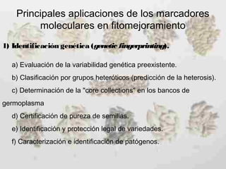 Principales aplicaciones de los marcadores
moleculares en fitomejoramiento
1) Identificación genética (genetic fingerprinting).
a) Evaluación de la variabilidad genética preexistente.
b) Clasificación por grupos heteróticos (predicción de la heterosis).
c) Determinación de la "core collections" en los bancos de
germoplasma
d) Certificación de pureza de semillas.
e) Identificación y protección legal de variedades.
f) Caracterización e identificación de patógenos.
 