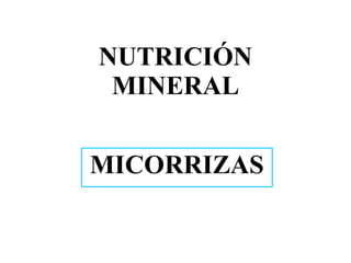 NUTRICIÓN MINERAL MICORRIZAS 