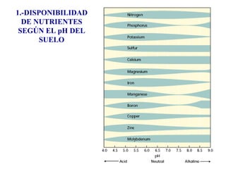 1.-DISPONIBILIDAD DE NUTRIENTES SEGÚN EL pH DEL SUELO 