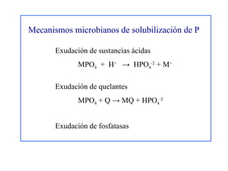 Mecanismos microbianos de solubilización de P Exudación de sustancias ácidas MPO 4   +  H +   ->  HPO 4 -2  + M + Exudación de quelantes  MPO 4  + Q -> MQ + HPO 4 -2 Exudación de fosfatasas 