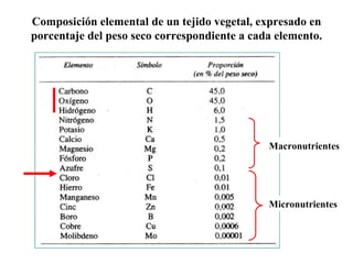 Composición elemental de un tejido vegetal, expresado en porcentaje del peso seco correspondiente a cada elemento. Macronutrientes Micronutrientes 