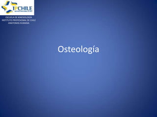Osteología 