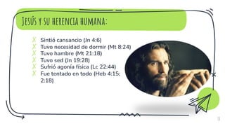 Jesús y su herencia humana:
✗ Sintió cansancio (Jn 4:6)
✗ Tuvo necesidad de dormir (Mt 8:24)
✗ Tuvo hambre (Mt 21:18)
✗ Tuvo sed (Jn 19:28)
✗ Sufrió agonía física (Lc 22:44)
✗ Fue tentado en todo (Heb 4:15;
2:18)
13
 