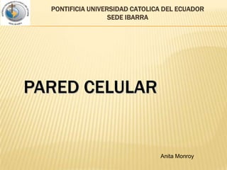 PONTIFICIA UNIVERSIDAD CATOLICA DEL ECUADORSEDE IBARRA PARED CELULAR Anita Monroy 