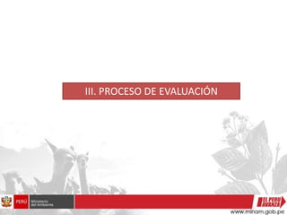 III. PROCESO DE EVALUACIÓN
 