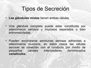 Tipos de Secreción
• Las glándulas mixtas tienen ambas células.
• Una glándula completa puede estar constituida por
adenómeros serosos y mucosos separados o bien
entremezcladas.
• Pueden encontrarse semilunas serosas adheridas a
adenómeros mucosos, en estos casos las células
serosas se conectan con el conducto por medio de
pequeños
canales
intercelulares
denominados
canalículos.

 