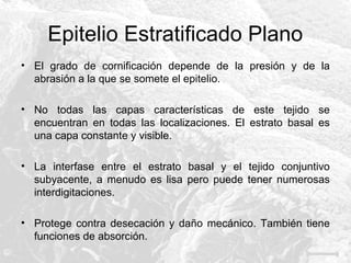 Epitelio Estratificado Plano
• El grado de cornificación depende de la presión y de la
abrasión a la que se somete el epitelio.
• No todas las capas características de este tejido se
encuentran en todas las localizaciones. El estrato basal es
una capa constante y visible.
• La interfase entre el estrato basal y el tejido conjuntivo
subyacente, a menudo es lisa pero puede tener numerosas
interdigitaciones.
• Protege contra desecación y daño mecánico. También tiene
funciones de absorción.

 