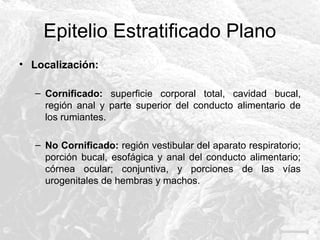 Epitelio Estratificado Plano
• Localización:
– Cornificado: superficie corporal total, cavidad bucal,
región anal y parte superior del conducto alimentario de
los rumiantes.
– No Cornificado: región vestibular del aparato respiratorio;
porción bucal, esofágica y anal del conducto alimentario;
córnea ocular; conjuntiva, y porciones de las vías
urogenitales de hembras y machos.

 