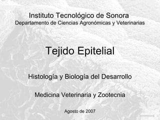 Instituto Tecnológico de Sonora
Departamento de Ciencias Agronómicas y Veterinarias

Tejido Epitelial
Histología y Biología del Desarrollo
Medicina Veterinaria y Zootecnia
Agosto de 2007

 