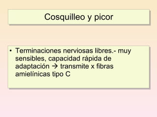 Cosquilleo y picor


• Terminaciones nerviosas libres.- muy
  sensibles, capacidad rápida de
  adaptación  transmite x fibras
  amielínicas tipo C
 