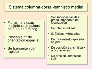 Sistema columna dorsal-lemnisco medial

                         • Sensaciones táctiles
                           grado importante de
• Fibras nerviosas         localización
  mielínicas, impulsos
  de 30 a 110 m/seg      • De intensidad sutil
                         • S. fásicas, vibratorias
• Poseen ↑ g° de
  orientación espacial   • De movimiento aplicado
                           en piel.

• Se transmiten con      • De posición transmitida x
  rapidez                  articulaciones
                         • De presión, intensidad
                           sutil.
 