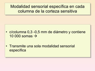 Modalidad sensorial específica en cada
     columna de la corteza sensitiva



• c/columna 0,3 -0,5 mm de diámetro y contiene
  10 000 somas 

• Transmite una sola modalidad sensorial
  específica
 