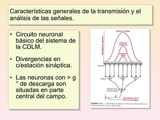 Características generales de la transmisión y el
análisis de las señales.

• Circuito neuronal
  básico del sistema de
  la CDLM.
• Divergencias en
  c/estación sináptica.
• Las neuronas con > g
  ° de descarga son
  situadas en parte
  central del campo.
 