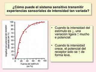 ¿Cómo puede el sistema sensitivo transmitir
experiencias sensoriales de intensidad tan variada?




                           • Cuando la intensidad del
                             estímulo es ↓, una
                             variación ligera ↑ mucho
                             e potencial.

                           • Cuando la intensidad
                             crece, el potencial del
                             receptor solo se ↑ de
                             forma leve.
 