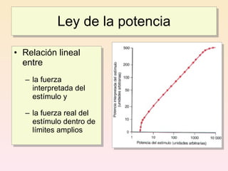 Ley de la potencia

• Relación lineal
  entre
  – la fuerza
    interpretada del
    estímulo y

  – la fuerza real del
    estímulo dentro de
    límites amplios
 