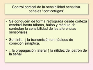 Control cortical de la sensibilidad sensitiva.
              señales “corticofugas”

• Se conducen de forma retrógrada desde corteza
  cerebral hasta tálamo, bulbo y médula 
  controlan la sensibilidad de las aferencias
  sensoriales.

• Son inh.: ↓ la transmisión en núcleos de
  conexión sináptica.
• ↓ la propagación lateral ↑ la nitidez del patrón de
  la señal.
 