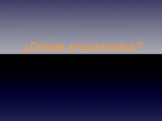 ¿Dónde encontrarlos? 