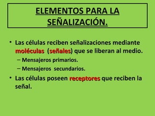 ELEMENTOS PARA LA SEÑALIZACIÓN. Las células reciben señalizaciones mediante moléculas ( señales ) que se liberan al medio. Mensajeros primarios. Mensajeros secundarios. Las células poseen receptores que reciben la señal.