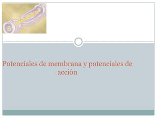 Potenciales de membrana y potenciales de
                 acción
 