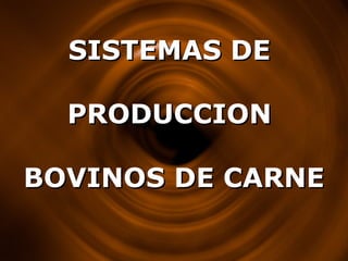 SISTEMAS DE
PRODUCCION
BOVINOS DE CARNE

 