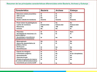 Resumen de las principales características diferenciales entre Bacteria, Archaea y Eukarya

Característica

Bacteria

Archaea

Eukarya

- Estructura celular procariótica
- ADN circular
- Histonas
- Núcleo rodeado de membrana

Sí
Sí
No
Ausente

Sí
Sí
Sí
Ausente

No
No
Sí
Presente

- Pared celular de peptidoglicano
- Lípidos de membrana
- Ribosomas
- Intrones

Sí
Enlaces éster
70S
No

No
Enlaces éter
70S
No

No
Enlaces éster
80S
Sí

- Plásmidos
- Sensibilidad de ribosomas a la
toxina diftérica
- Sensibilidad a cloranfenicol,
estreptomicina y kanamicina

Si
No

Sí
Sí

Raro
Sí

Sí

No

No

- Metanogénesis
- Reducción desasimilativa de
sulfatos y férrico
- Nitrificación
- Desnitrificación

No
Sí

Sí
Sí

No
No

Sí
Sí

No
Sí

No
No

- Fijación de nitrógeno
- Fotosíntesis oxigénica
- Quimiolitotrofía
- Vesículas de gas
- Sintesis de gránulos de reserva
de carbono (β-hidroxialcanoatos)
- Crecimiento por encima de 80º

Sí
Sí
Sí
Sí
Sí

Sí
No
Sí
Sí
Sí

No
Sí (en cloroplastos)
No
No
No

Sí

Sí

No

 