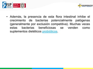 • Además, la presencia de esta flora intestinal inhibe el
crecimiento de bacterias potencialmente patógenas
(generalmente por exclusión competitiva). Muchas veces
estas bacterias beneficiosas se venden como
suplementos dietéticos probióticos.

 