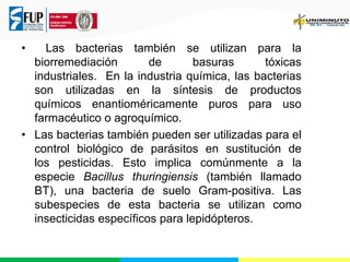 •

Las bacterias también se utilizan para la
biorremediación
de
basuras
tóxicas
industriales. En la industria química, las bacterias
son utilizadas en la síntesis de productos
químicos enantioméricamente puros para uso
farmacéutico o agroquímico.
• Las bacterias también pueden ser utilizadas para el
control biológico de parásitos en sustitución de
los pesticidas. Esto implica comúnmente a la
especie Bacillus thuringiensis (también llamado
BT), una bacteria de suelo Gram-positiva. Las
subespecies de esta bacteria se utilizan como
insecticidas específicos para lepidópteros.

 