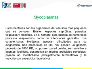Mycoplasmas
Estas bacterias son los organismos de vida libre más pequeños
que se conocen. Existen especies saprófitas, parásitos
vegetales y animales. En el hombre, son agentes de numerosos
procesos respiratorios como de infecciones genitales. Sus
características biológicas generan dificultades para su
diagnóstico. Son procariotas de 200 nm, poseen un genoma
pequeño de 1000 KD, no poseen pared celular, son sensible a
agentes lipolíticos, desarrollan en medios artificiales complejos,
poseen un metabolismo principalmente fermentativo y la
mayoría son anaerobios facultativos.

 