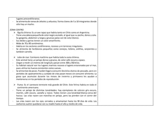 lugares precordilleranos.
- Se alimentade ramasde árboles y arbustos; forma clanes de 5 a 10 integrantes donde
sólo hay un macho.
ZONA CENTRO
 Águila chilena: Es un ave rapaz que habita tanto en Chile como en Argentina.
- Tiene unacabezapequeñade colornegro azulado, al igual que su pecho, dorso y cola.
Su garganta, abdomen y largas y gruesas patas son de color blanco.
- Sus dedos y garras tienen un color amarillento.
- Mide de 70 a 90 centímetros.
- Habita en los sectores cordilleranos, rocosos y en terrenos irregulares.
- Se alimenta de herbívoros pequeños como conejos, liebres, ardillas, serpientes y
también carroña.
 Lobo de mar: Carnívoro marítimo que habita toda la costa chilena.
- Este animal tiene un pelaje denso y grueso, de color café oscuro y opaco.
- Llegan a medir 2,5 metros de longitud y pesan entre 300 y 350 kilos.
- Su hábitat natural son los lugares marinos rocosos o lugares erosionados por el mar,
pues utiliza los huecos existentes como cuevas.
- Se alimentande peces.Puedenllegaraconsumirdoskilos diarios de pescado, pero en
períodos de apareamiento y cuidado de crías pasan meses sin consumir alimento. La
grasa que acumulan durante los meses de invierno y primavera les ayudan a
mantenerse en los períodos de reproducción.
 Puma: Es el carnívoro terrestre más grande de Chile. Este felino habita en todo el
continente americano.
- Tiene un pelaje de distintas tonalidades: hay ejemplares de colores gris oscuro,
marrón, café oscuro, castaño y rojizo. Todos tienen una tonalidad blanca cerca del
hocico. Las crías nacen con manchas en pelaje, pero las pierden con el correr del
tiempo.
- Las crías nacen con los ojos cerrados y amamantan hasta los 90 días de vida. Los
cachorros suelen quedarse con su madre hasta el año y medio de vida.
 