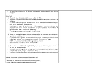 - Su hábitat se encuentra en los sectores montañosos, precordilleranos y con terreno
irregular.
ZONA SUR
 Huemul: Es un tipo de ciervo herbívoro nativo de Chile.
- El huemul esunanimal mediano(mide hasta90 centímetrosde altura) y pesa cerca de
100 kilos.
- Su pelaje es denso y grueso, de café oscuro con un sector totalmente blanco bajo la
cola, la cual es pequeña y redondeada.
- Sus orejas son largas (20 centímetros) y móviles, y tiene dos cuernos o astas que
desarrolla sólo en el período reproductivo. En primavera éstos alcanzan hasta 20
centímetros de largo y en invierno se pierden.
- Viven en grupos de un macho con una a tres hembras.
 Pudú: Es uno de los ciervos chilenos más pequeños. No supera los 40 centímetros y
pesa cerca de 10 kilos.
- Su pelaje esdensoygrueso,de colorcafé oscuroy rojizo.Sucabeza y cuellosoncortos,
al igual que su cola y extremidades. Sus orejas son medianamente largas.
- Habita en lugares con abundancia de vegetación y árboles.
- El pudú alcanza su madurez sexual al año de vida.
 Zorro de culpeo:Habitaenla Regiónde Magallanesyla Antártica,específicamenteen
la zona de Tierra del Fuego.
- Su pelaje es de color gris en el dorso y rojizo en la cabeza, cuello, orejas, piernas y la
parte final de la cola, aunque su mentón es blanco.
- Su hábitatnatural se encuentraensectoresmontañososytambiénenlugares rocosos.
Algunas medidas de protección para la flora chilena son:
- Mantener los ambientes libres de contaminación y quemas.
- Cuidar el exceso o carencia de agua y/o luminosidad.
 