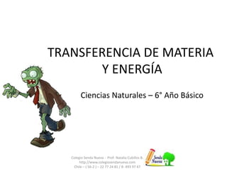 TRANSFERENCIA DE MATERIA 
Y ENERGÍA 
Ciencias Naturales – 6° Año Básico 
Colegio Senda Nueva - Prof- Natalia Cubillos B. 
http://www.colegiosendanueva.com 
Chile – ( 56-2 ) – 22 77 24 81 / 8- 493 97 47 
 