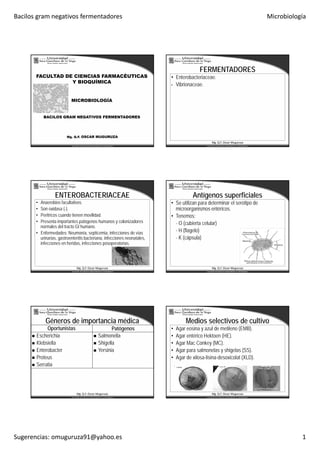 Bacilos gram negativos fermentadores Microbiología
Sugerencias: omuguruza91@yahoo.es 1
FACULTAD DE CIENCIAS FARMACÉUTICAS
Y BIOQUÍMICA
MICROBIOLOGÍAMICROBIOLOGÍA
BACILOS GRAM NEGATIVOS FERMENTADORES
Mg. Q.F. OSCAR MUGURUZA
FERMENTADORES
• Enterobacteriaceae.
• Vibrionaceae.
Mg. Q.F. Oscar Muguruza
ENTEROBACTERIACEAE
• Anaerobios facultativos.
• Son oxidasa (-).
• Peritricos cuando tienen movilidad.
• Presenta importantes patógenos humanos y colonizadores
normales del tracto GI humanonormales del tracto GI humano.
• Enfermedades: Neumonía, septicemia, infecciones de vías
urinarias, gastroenteritis bacteriana, infecciones neonatales,
infecciones en heridas, infecciones posoperatorias.
Mg. Q.F. Oscar Muguruza
Antígenos superficiales
• Se utilizan para determinar el serotipo de
microorganismos entéricos.
• Tenemos:
- O (cubierta celular)
- H (flagelo)
- K (cápsula)
Mg. Q.F. Oscar Muguruza
Géneros de importancia médica
Oportunistas Patógenos
Escherichia
Klebsiella
Enterobacter
Salmonella
Shigella
Yersinia
Proteus
Serratia
Mg. Q.F. Oscar Muguruza
Medios selectivos de cultivo
• Agar eosina y azul de metileno (EMB).
• Agar entérico Hektoen (HE).
• Agar Mac Conkey (MC).
• Agar para salmonelas y shigelas (SS).g p y g ( )
• Agar de xilosa-lisina-desoxicolat (XLD).
Mg. Q.F. Oscar Muguruza
 