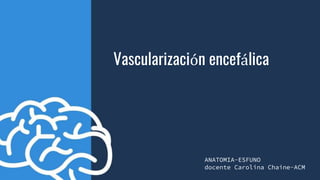 +
Vascularización encefálica
ANATOMIA-ESFUNO
docente Carolina Chaine-ACM
 