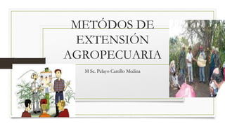 METÓDOS DE
EXTENSIÓN
AGROPECUARIA
M Sc. Pelayo Carrillo Medina
 